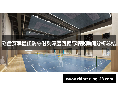 老詹赛季最佳防守时刻深度回顾与精彩瞬间分析总结