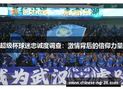 超级杯球迷忠诚度调查：激情背后的信仰力量