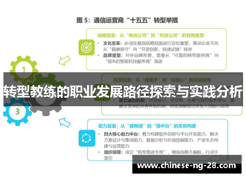 转型教练的职业发展路径探索与实践分析