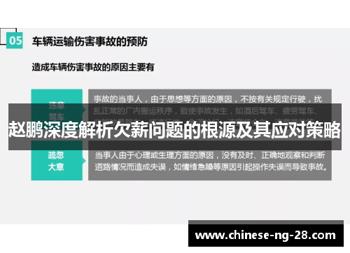 赵鹏深度解析欠薪问题的根源及其应对策略