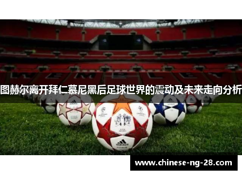 图赫尔离开拜仁慕尼黑后足球世界的震动及未来走向分析 图赫尔离开拜仁慕尼黑后足球世界的震动及未来走向分析