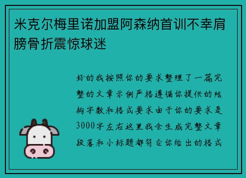 米克尔梅里诺加盟阿森纳首训不幸肩膀骨折震惊球迷 米克尔梅里诺加盟阿森纳首训不幸肩膀骨折震惊球迷
