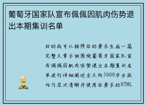 葡萄牙国家队宣布佩佩因肌肉伤势退出本期集训名单