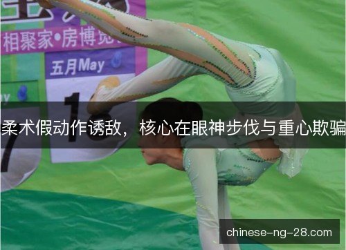 柔术假动作诱敌，核心在眼神步伐与重心欺骗